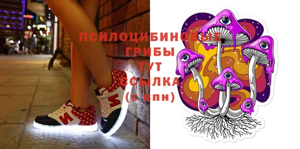 МДПВ Абаза