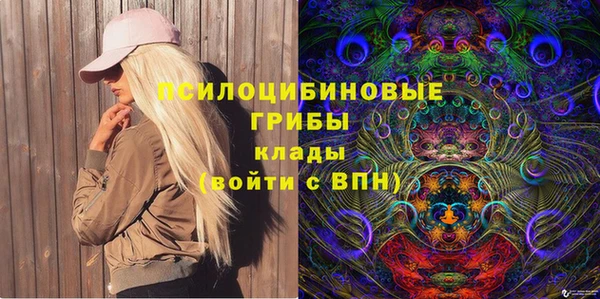 МДПВ Абаза