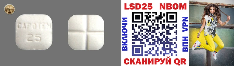 даркнет Telegram  Донецк  Лсд 25 экстази кислота 